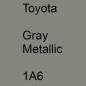 Preview: Toyota, Gray Metallic, 1A6.